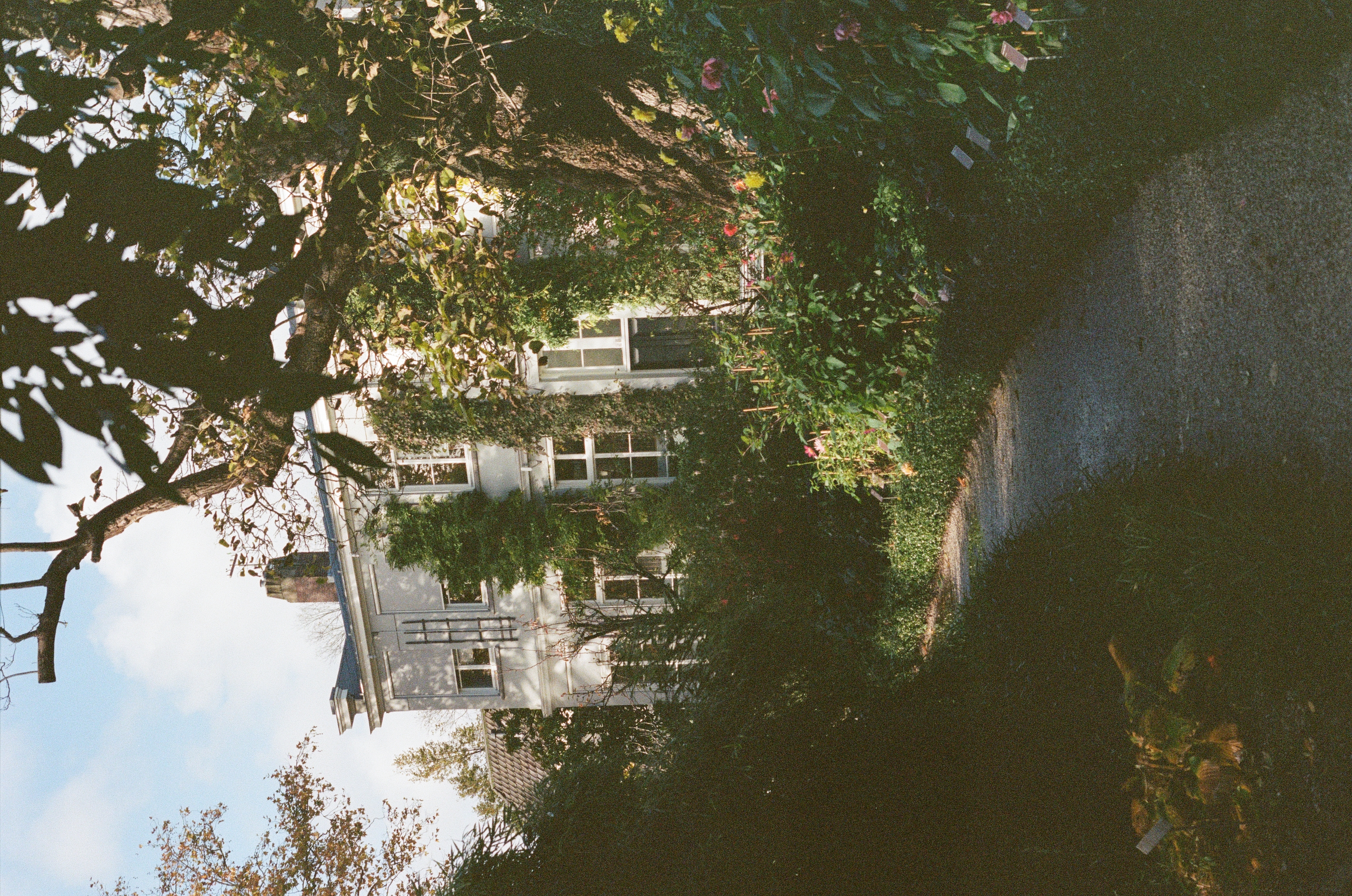 botanical garden in Amsterdam